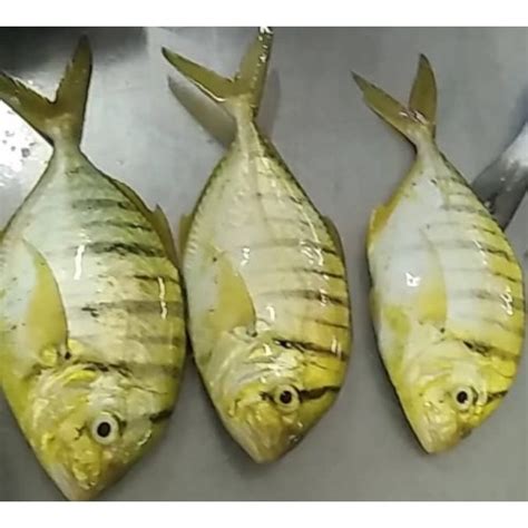 Badlon Talakitok Fish .